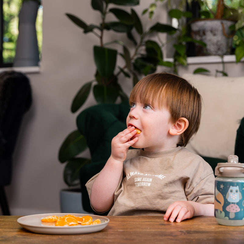 Vital Baby Nourish Perfectly Simple Plates - 5 Pack