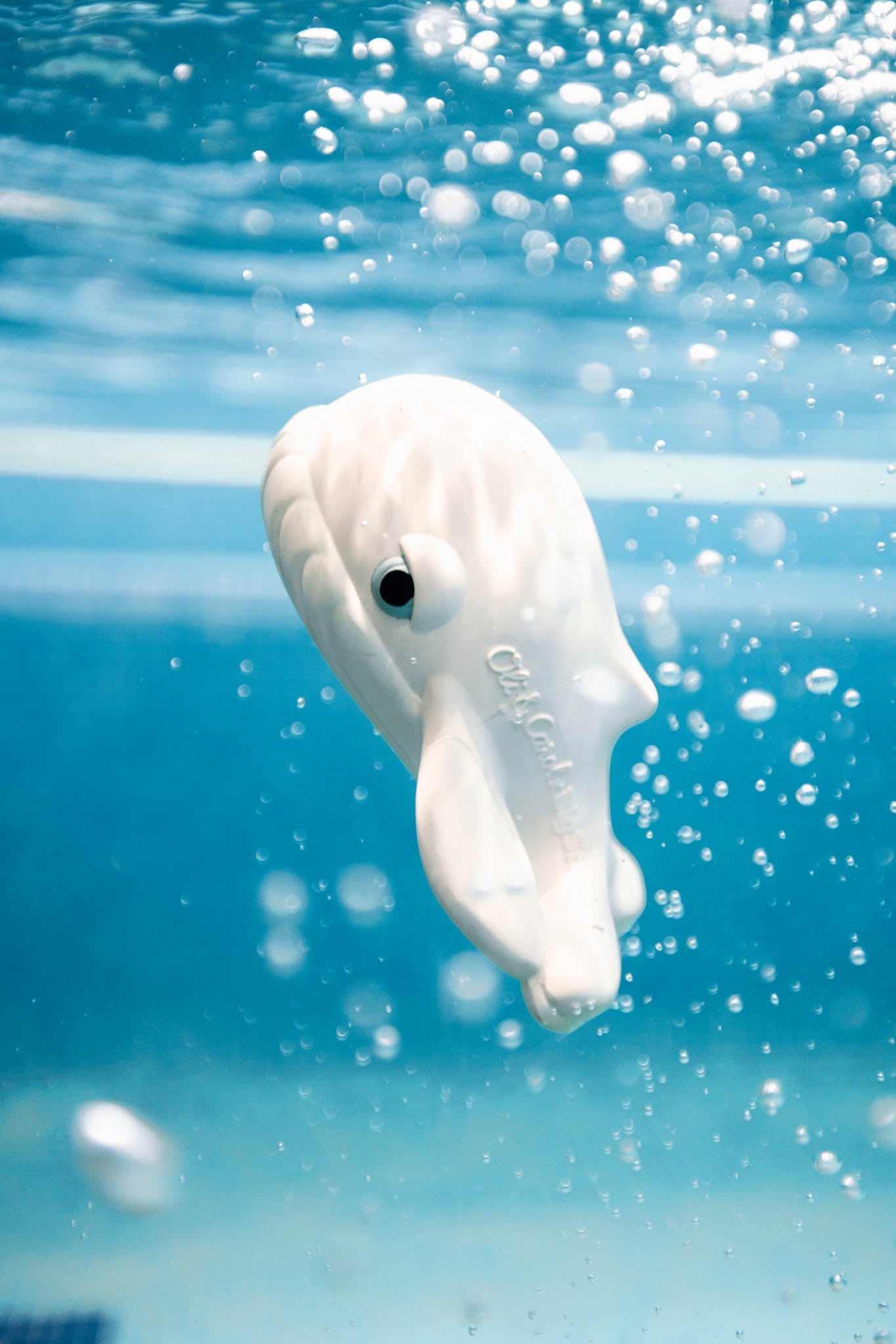 Oli & Carol Walter the Whale Bath Toy