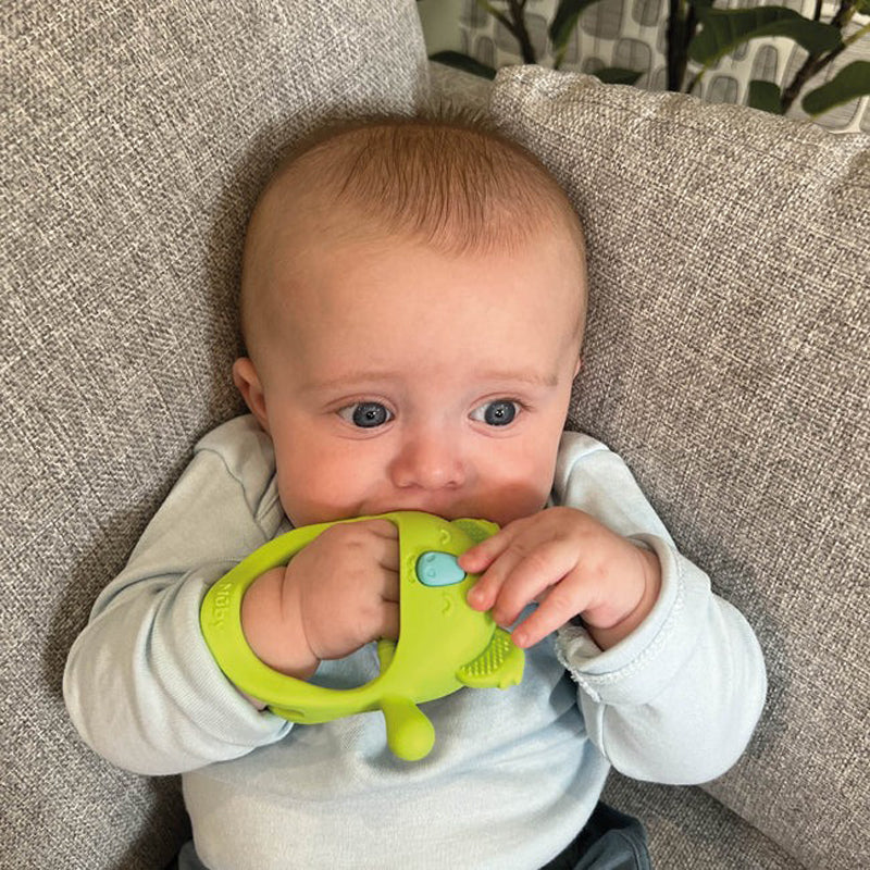 Nuby Mini Wrist Grip Teething Mitten - Koala