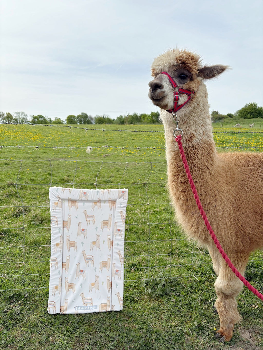 Bobbin and Bumble Standard Changing Mat - Alpacas - Baby&More