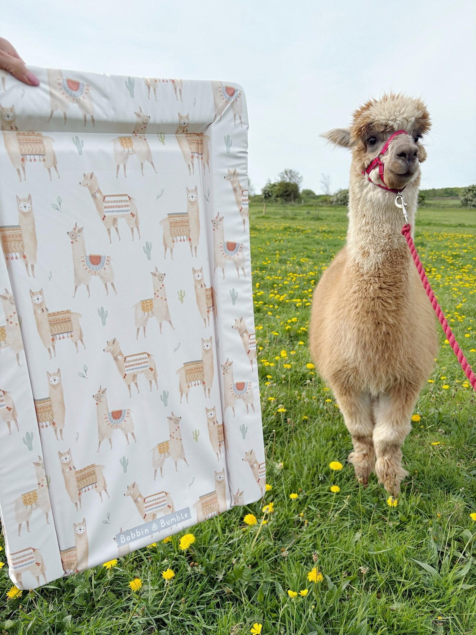 Bobbin and Bumble Standard Changing Mat - Alpacas - Baby&More