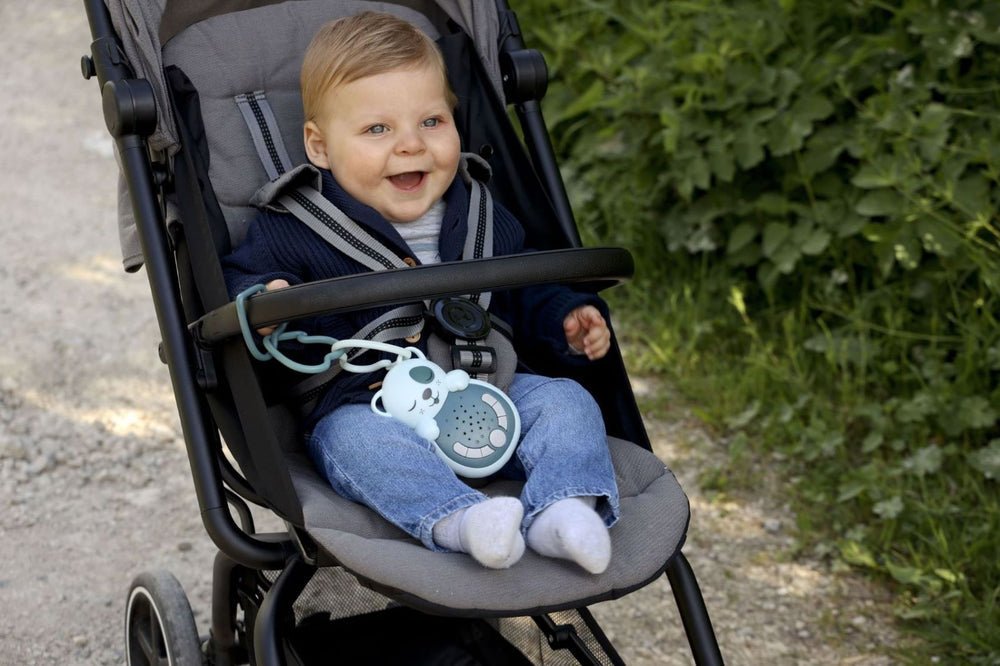Cloud B Sweet Dreamz On the Go Portable White Noise Machine - Dog - Baby&More