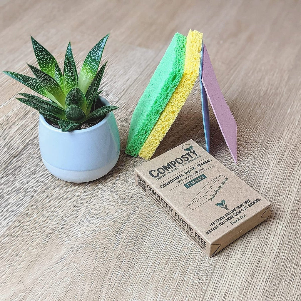 Composty Jumbo ‘Pop - Up’ Eco Sponges – Large Size – 3 Pack - Baby&More