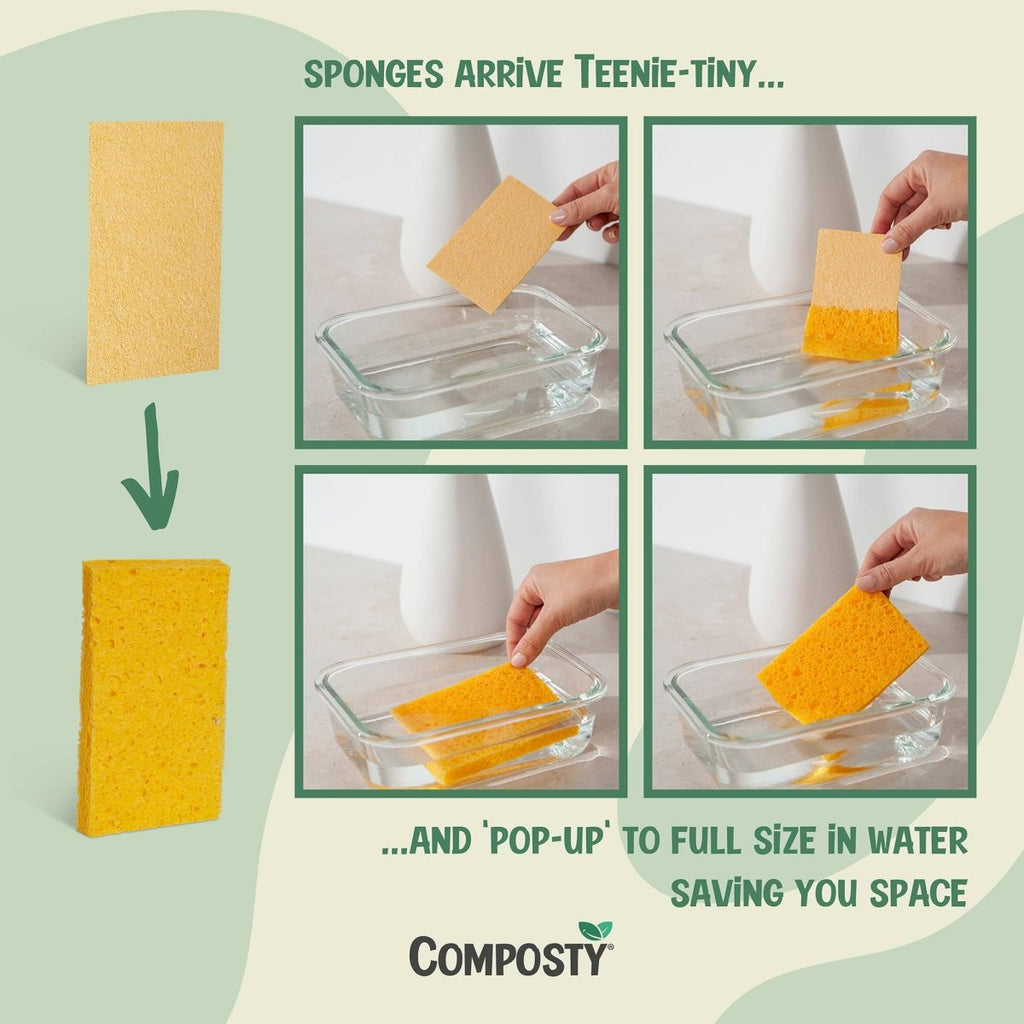 Composty Jumbo ‘Pop-Up’ Eco Sponges – Large Size  – 3 Pack