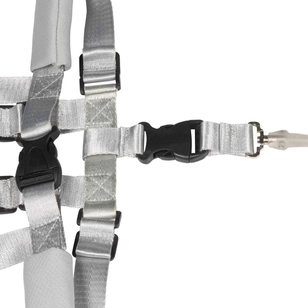 Dooky Safety Harness Set  - Baby&More