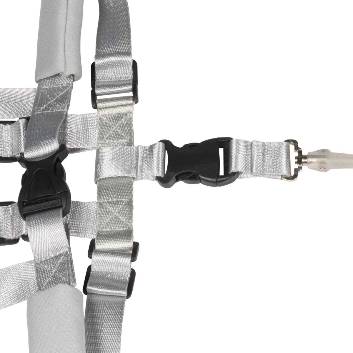 Dooky Safety Harness Set  - Baby&More