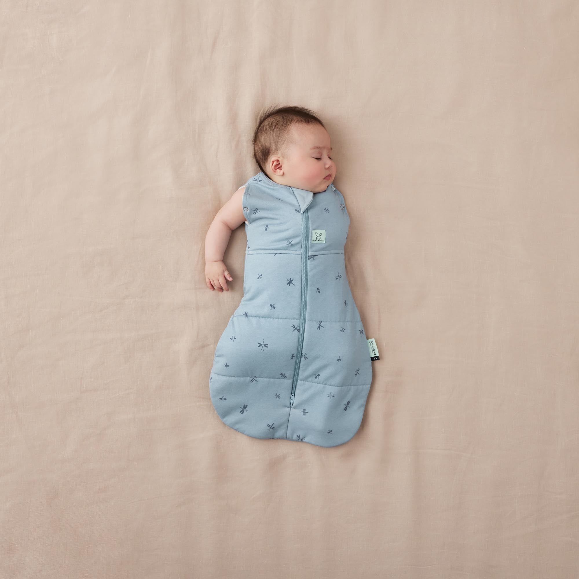 ergoPouch - Organic Winter Cocoon Swaddle Sleeping Bag - Blue Dragonflies - 2.5 TOG - Baby&More