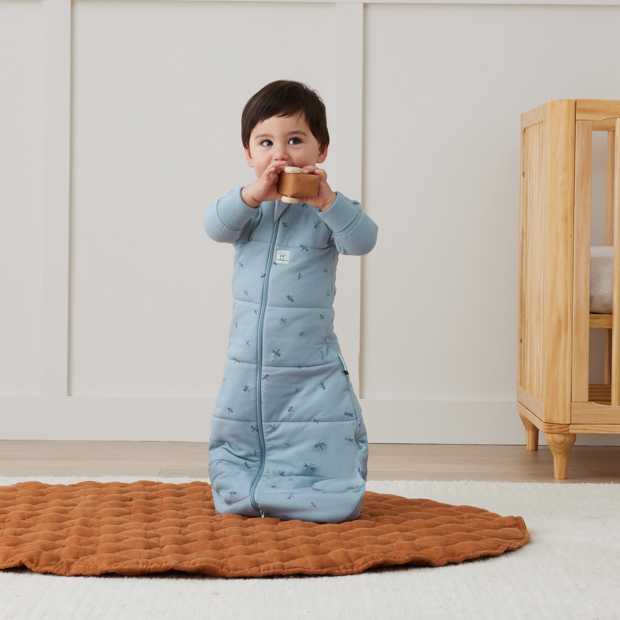 ergoPouch - Organic Winter Jersey Sleeping Bag - Blue Dragonflies - 3.5 TOG - Baby&More