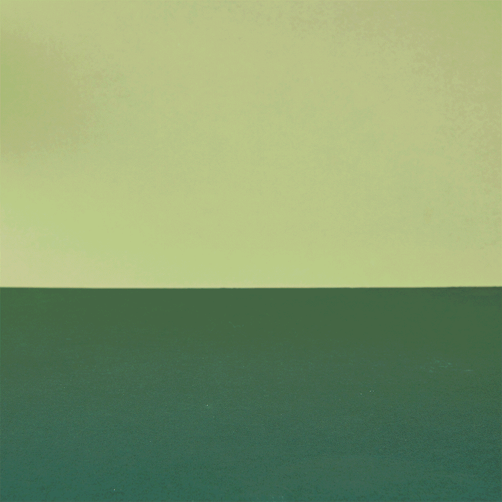 Wooden Farmyard Animals Shelf - Set of 13