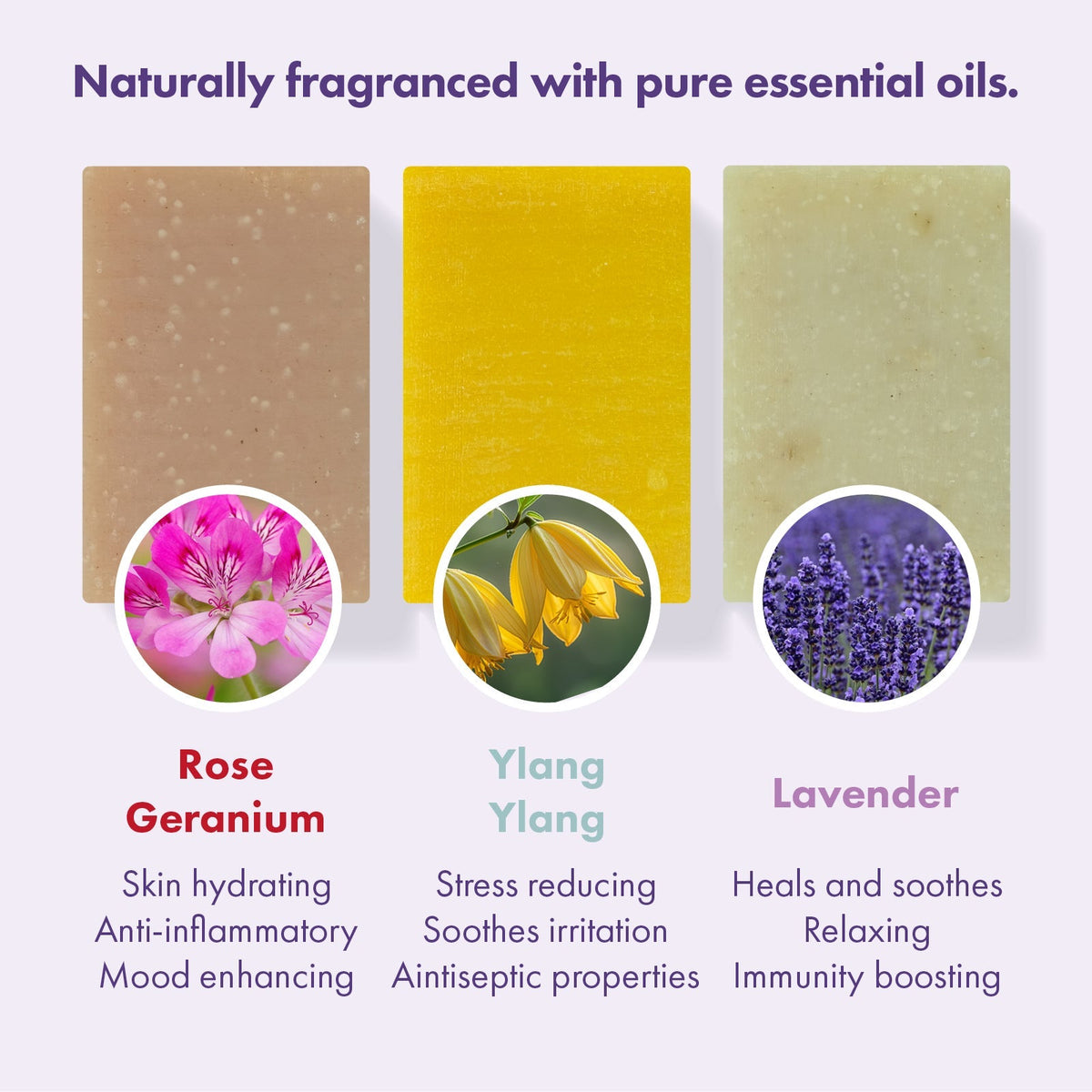 Friendly Soap - Soap Trio Gift Set - Rose Geranium, Ylang Ylang, Lavender - Baby&More