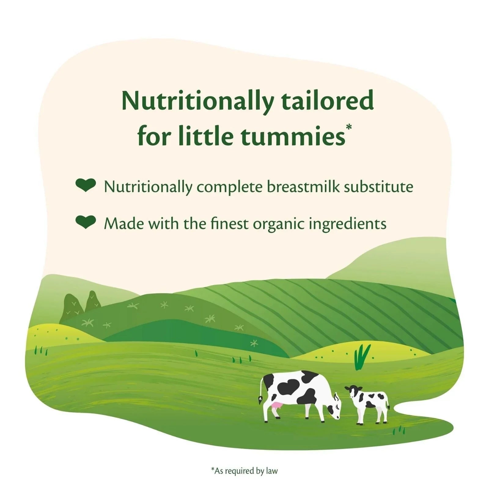 HiPP Organic 1 First Infant Baby Milk Formula - from Birth 800g - Baby&More