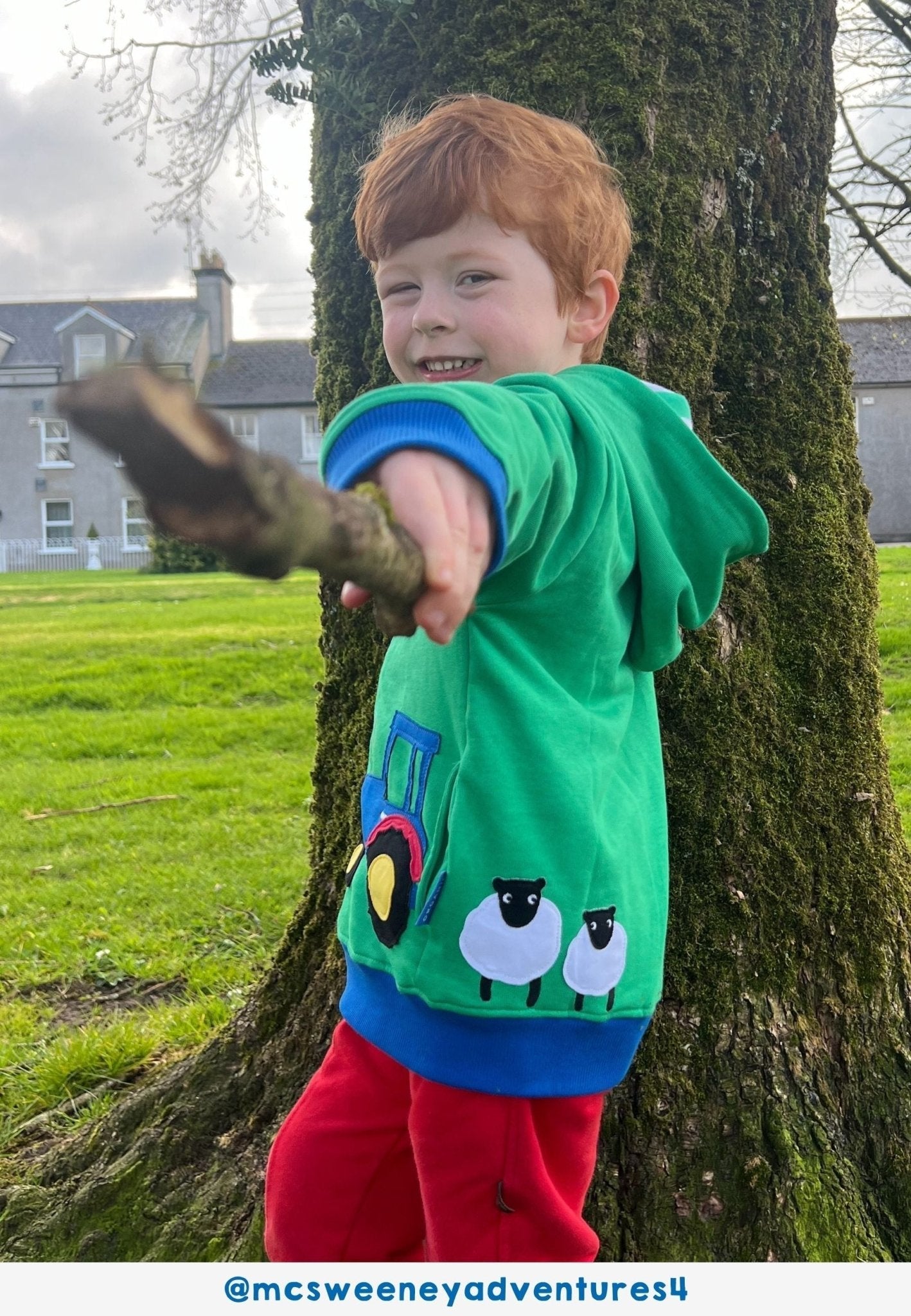 Toby Tiger Organic Applique Hoodie - Hillside Tractor