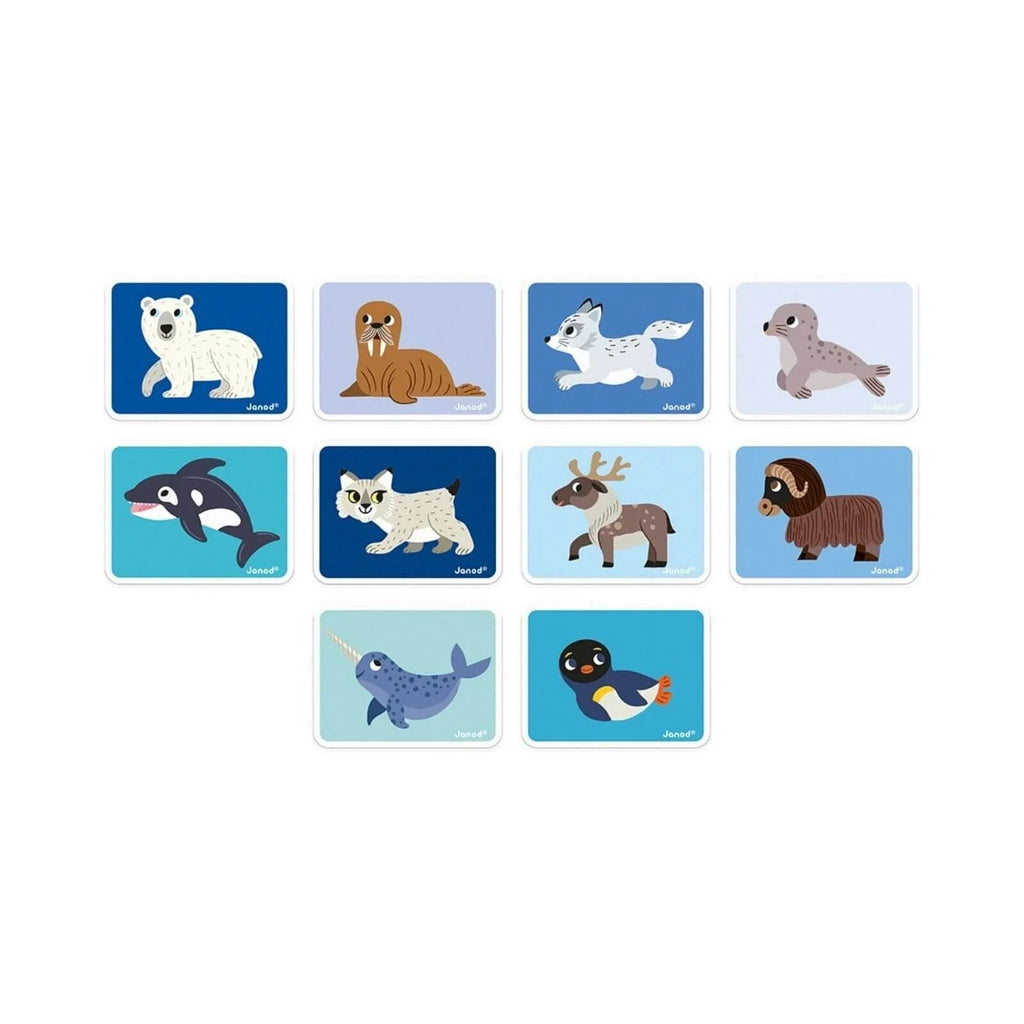 Janod Magnetibook Polar Animals - Baby&More