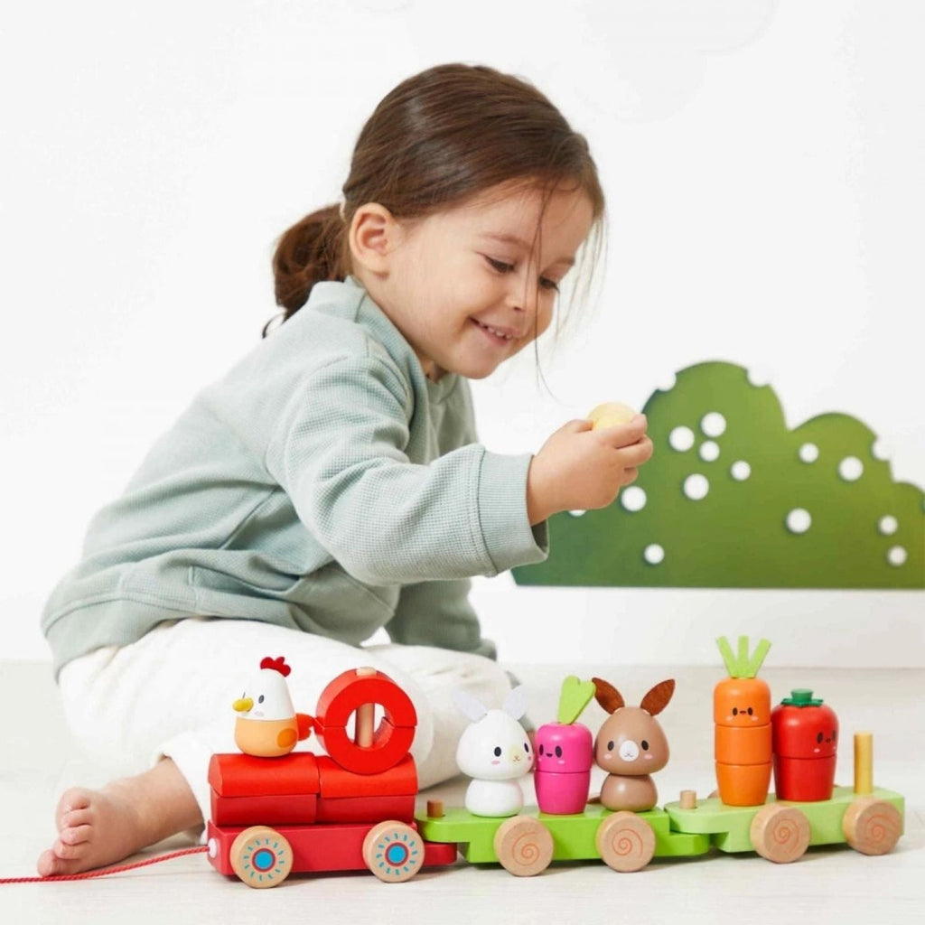 Janod Wooden Pull Along Farm Train - Baby&More