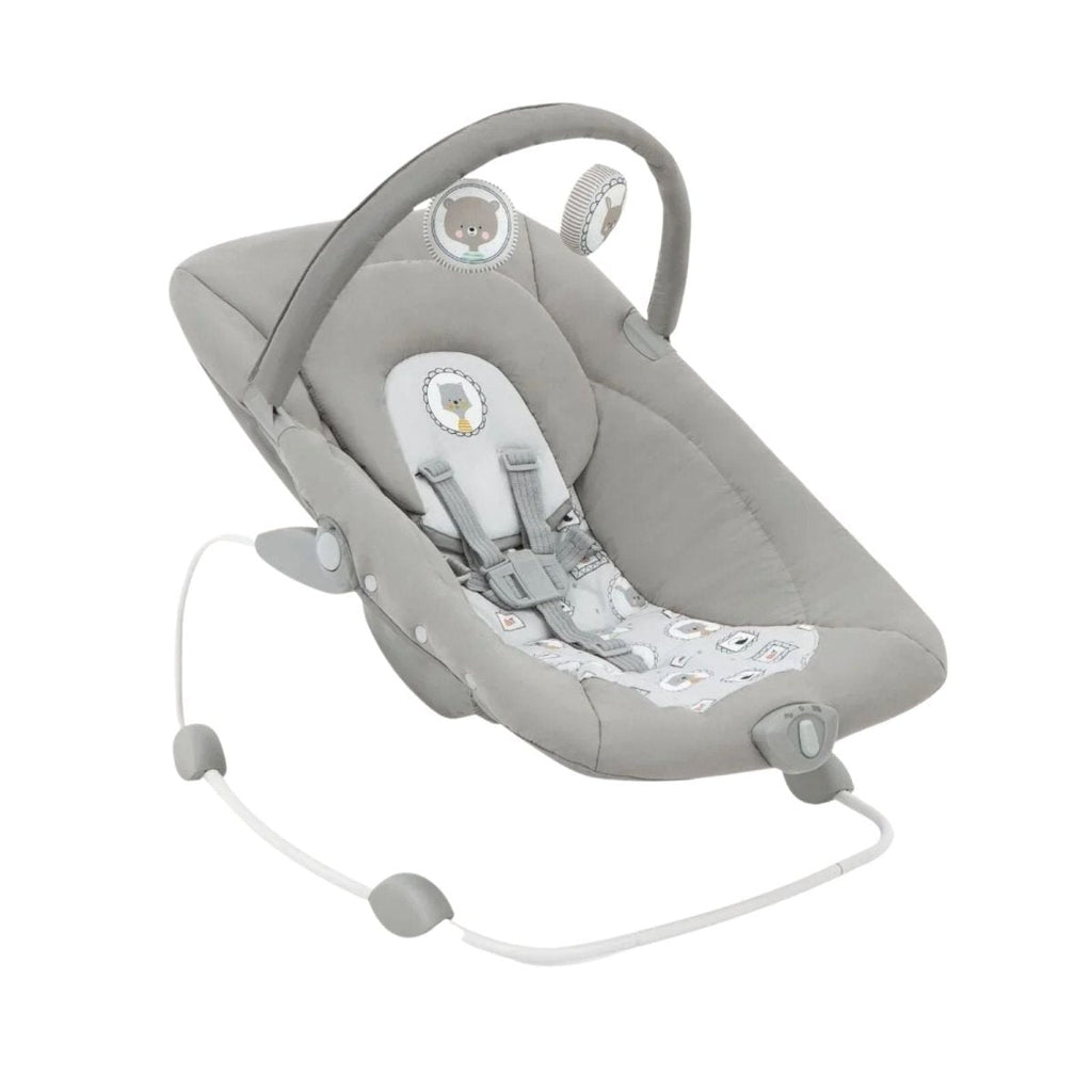 Joie Wish Bouncer & Rocker - Portrait - Baby&More