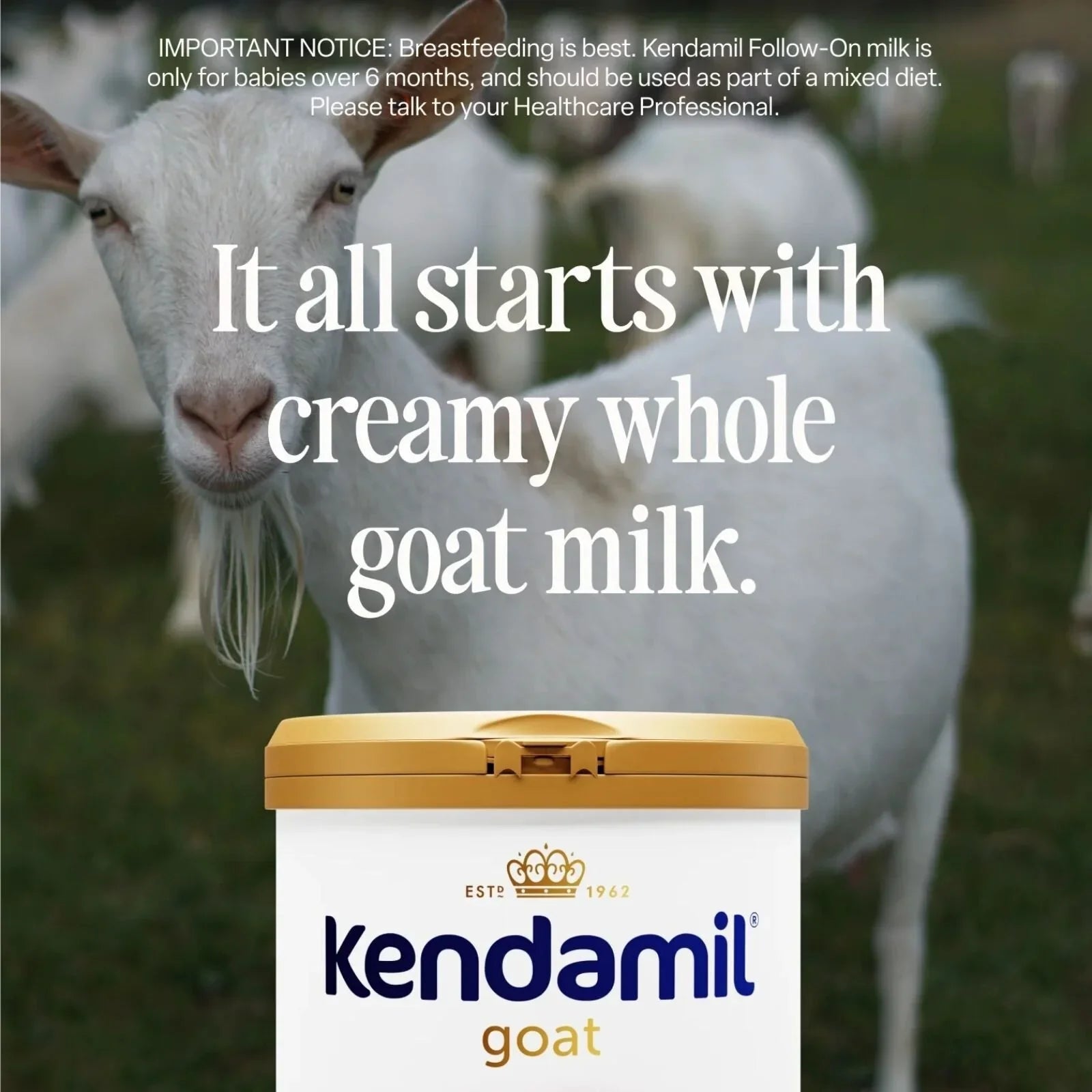 Kendamil Stage 1 Goat First Infant Milk - From Birth - 800g - Baby&More