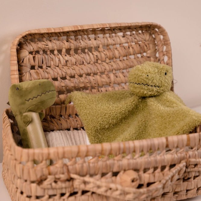 Little Big Friends Baby Gift Box - Dino Friends - Baby&More