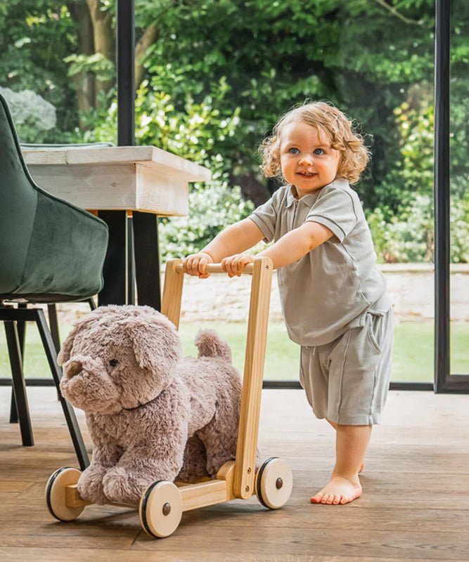 Little Bird Told Me Push Along Bailey Dog - Baby&More