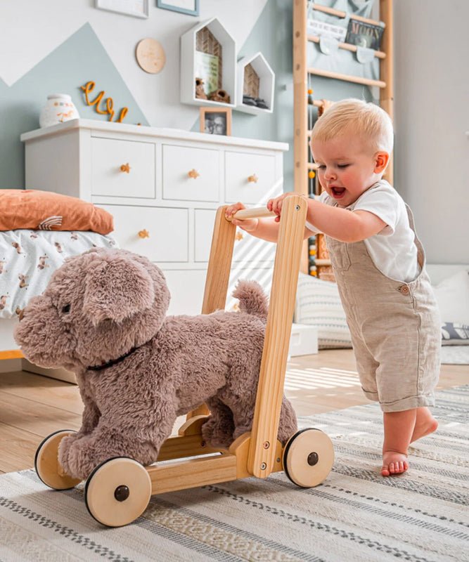 Little Bird Told Me Push Along Bailey Dog - Baby&More