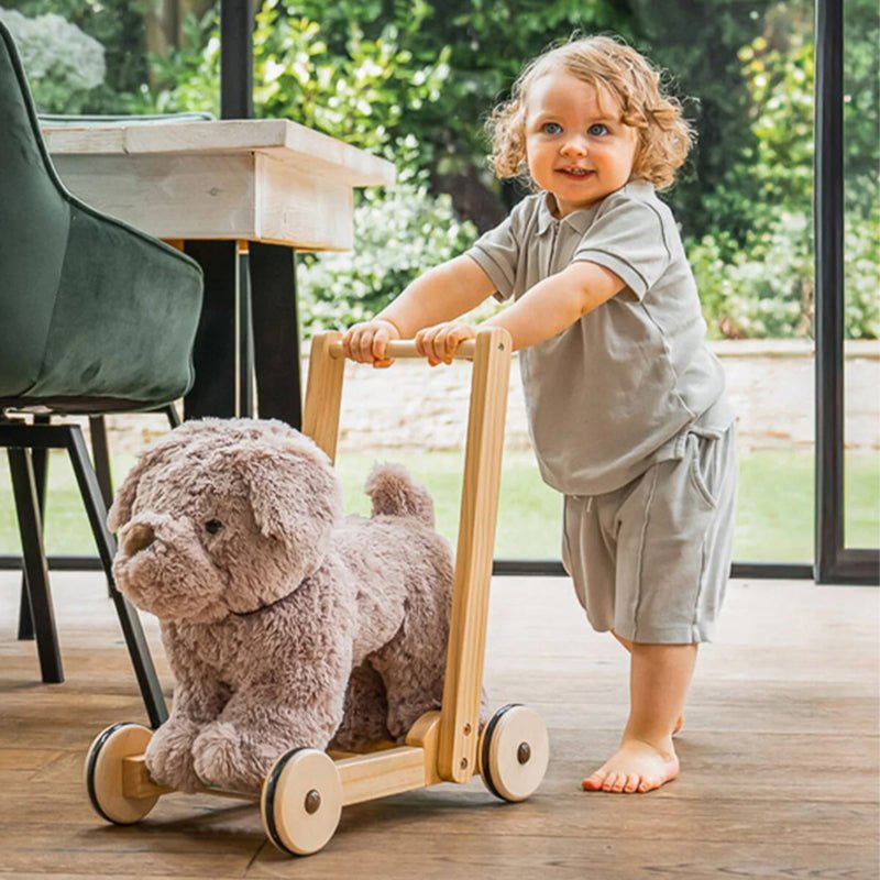 Little Bird Told Me Push Along Bailey Dog - Baby&More