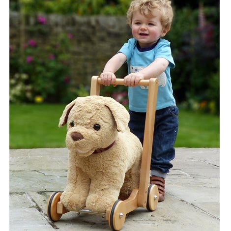 Little Bird Told Me Push Along Dexter Dog - Baby&More