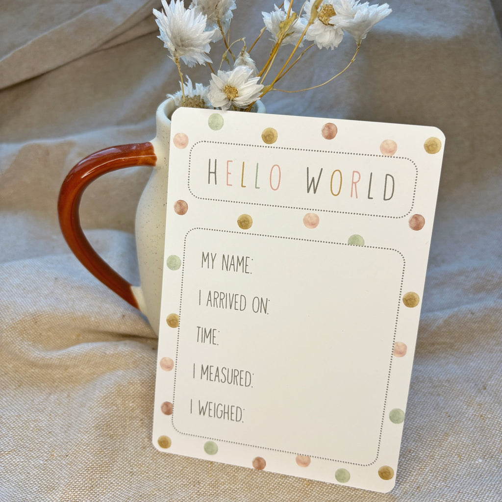 Little Goose Baby Milestone Cards - Baby&More