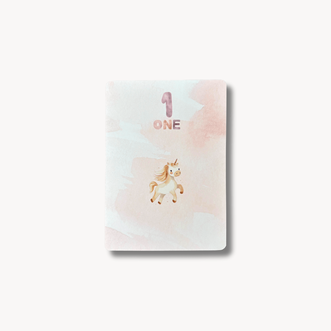 Little Goose Numbers Flash Cards - Baby&More