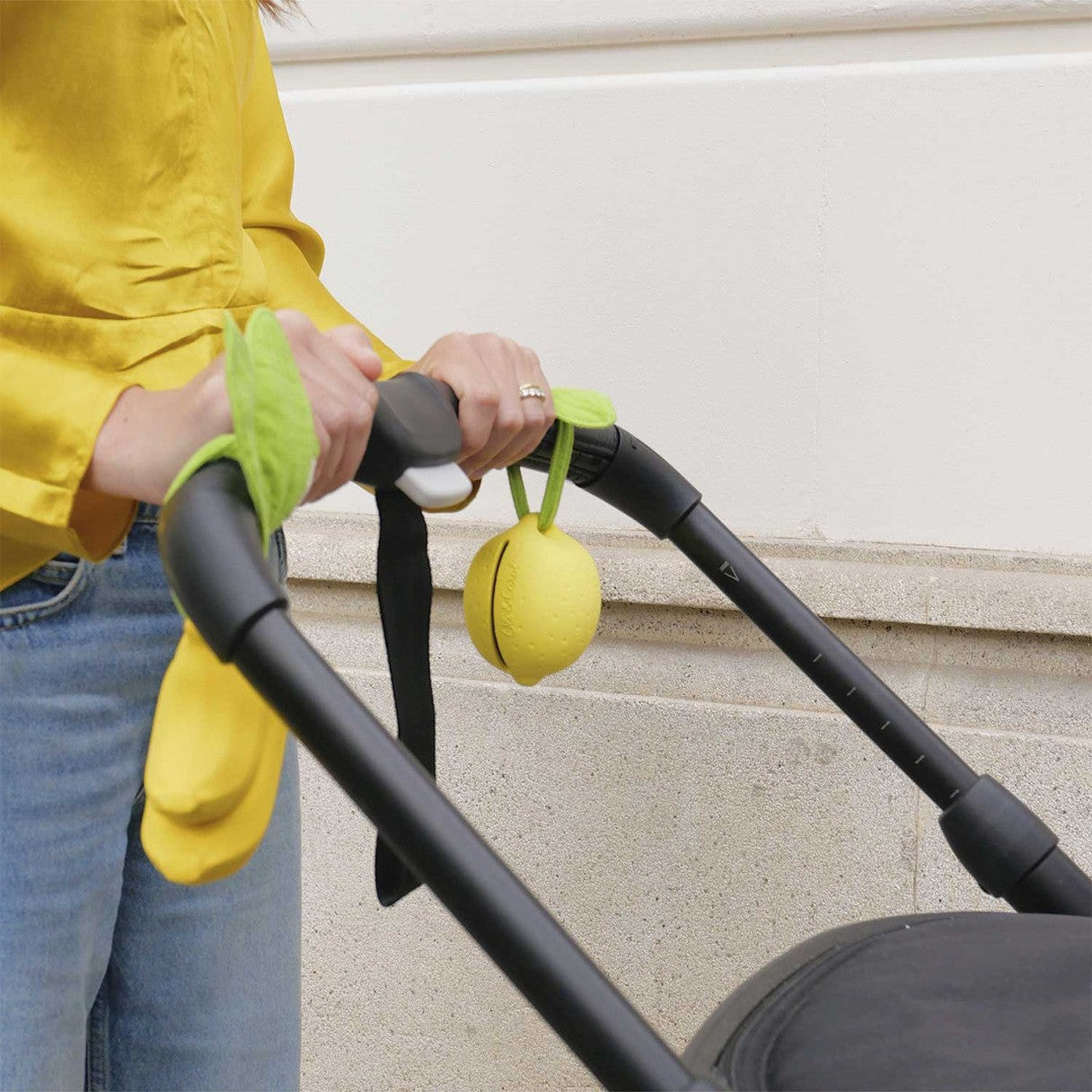 Oli & Carol Lou the Lemon Pacifier / Dummy Case