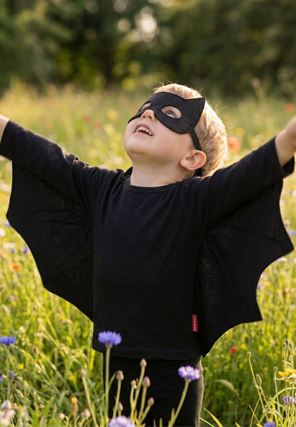 Toby Tiger Organic Batwing T-Shirt & Mask Costume Set