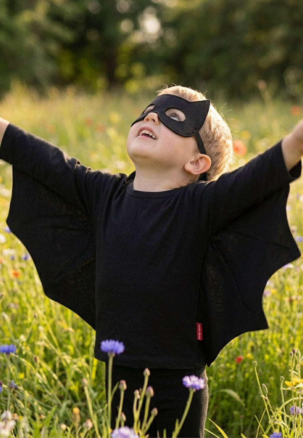 Toby Tiger Organic Batwing T-Shirt & Mask Costume Set