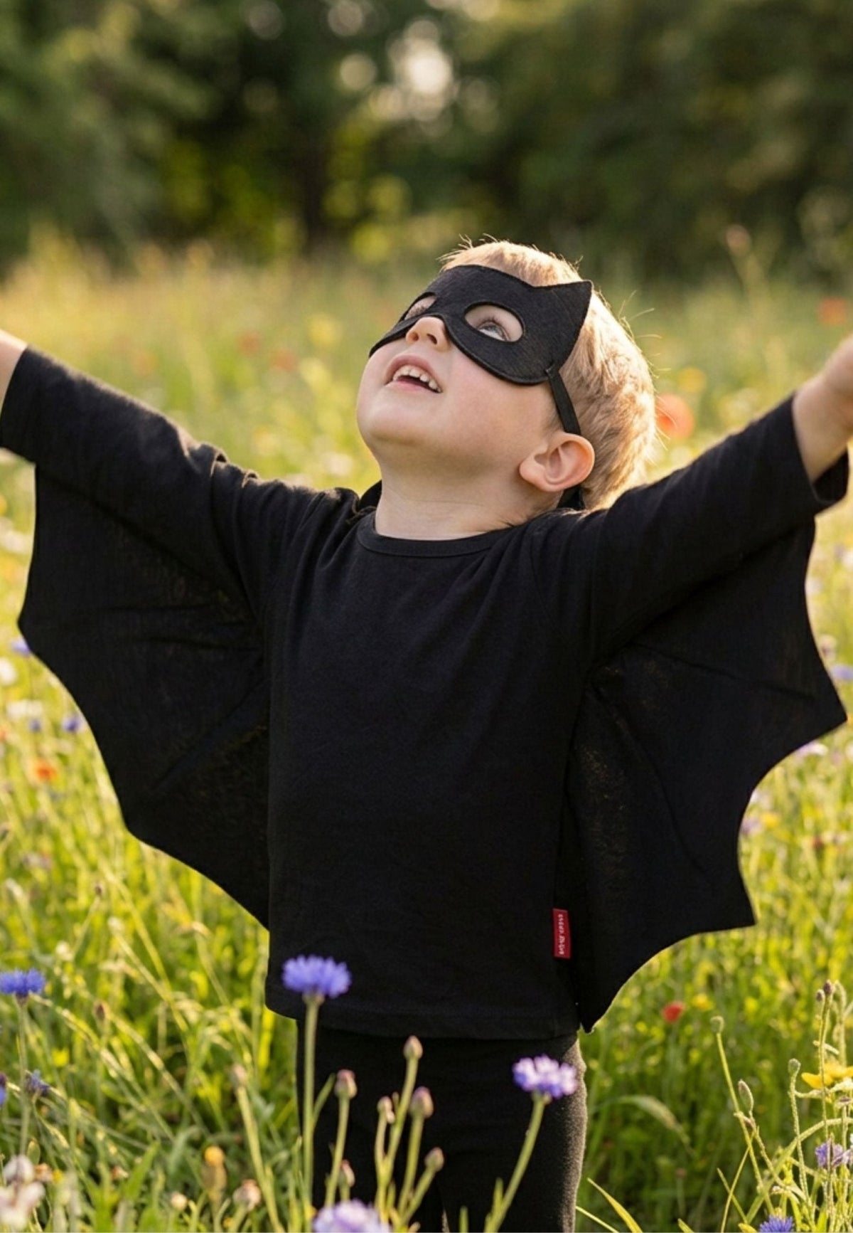 Toby Tiger Organic Batwing T-Shirt & Mask Costume Set