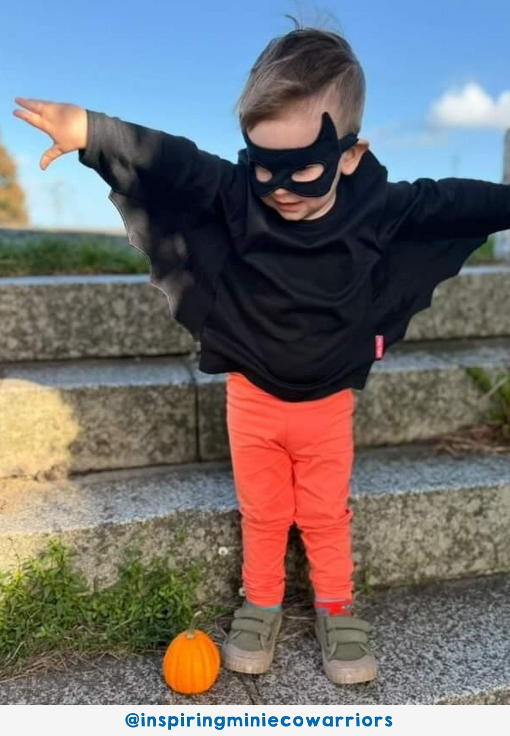 Toby Tiger Organic Batwing T-Shirt & Mask Costume Set