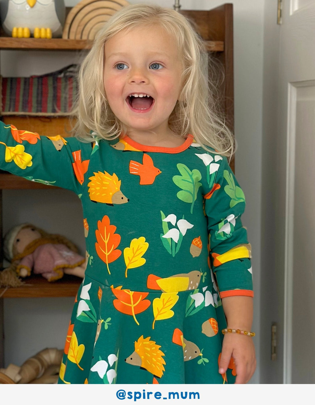 Toby Tiger Organic Skater Dress - Autumn Print