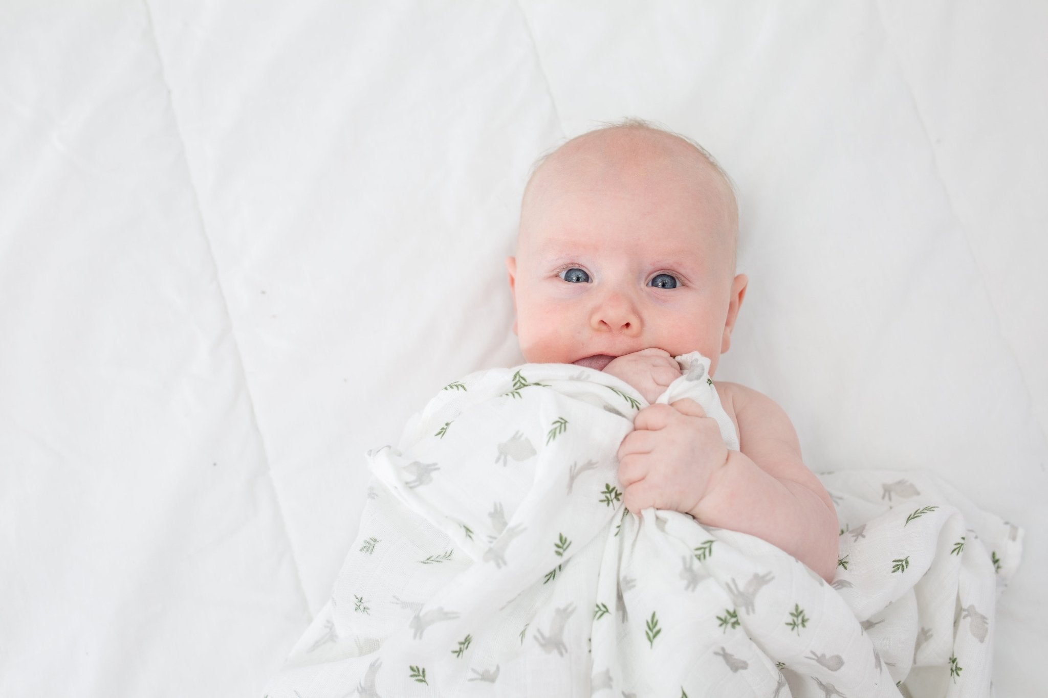 Lulujo - Muslin Swaddle - Bunnies (100cm x 100cm) - Baby&More