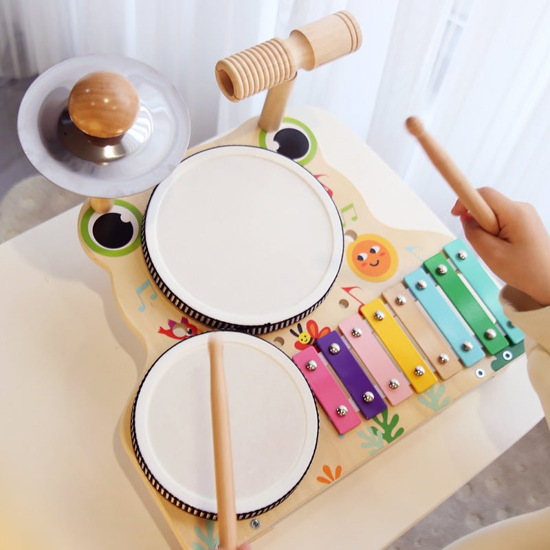 Multi - functional Drum Kit - Frog - Baby&More