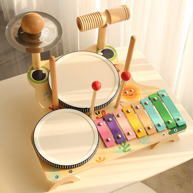Multi - functional Drum Kit - Frog - Baby&More