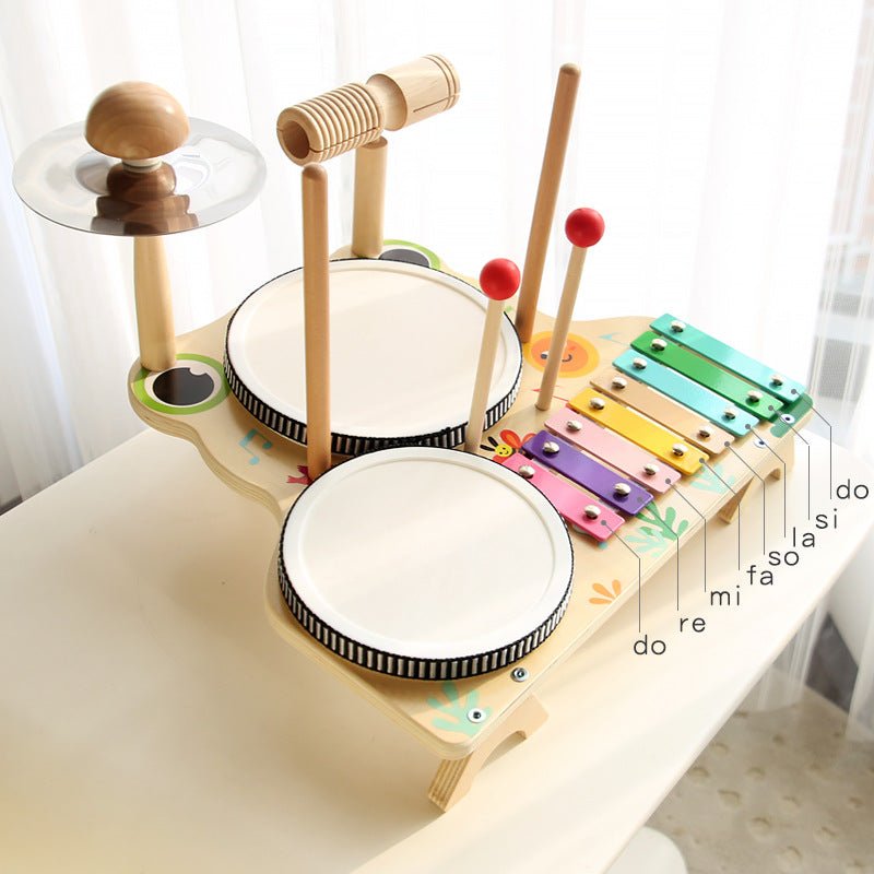 Multi - functional Drum Kit - Frog - Baby&More