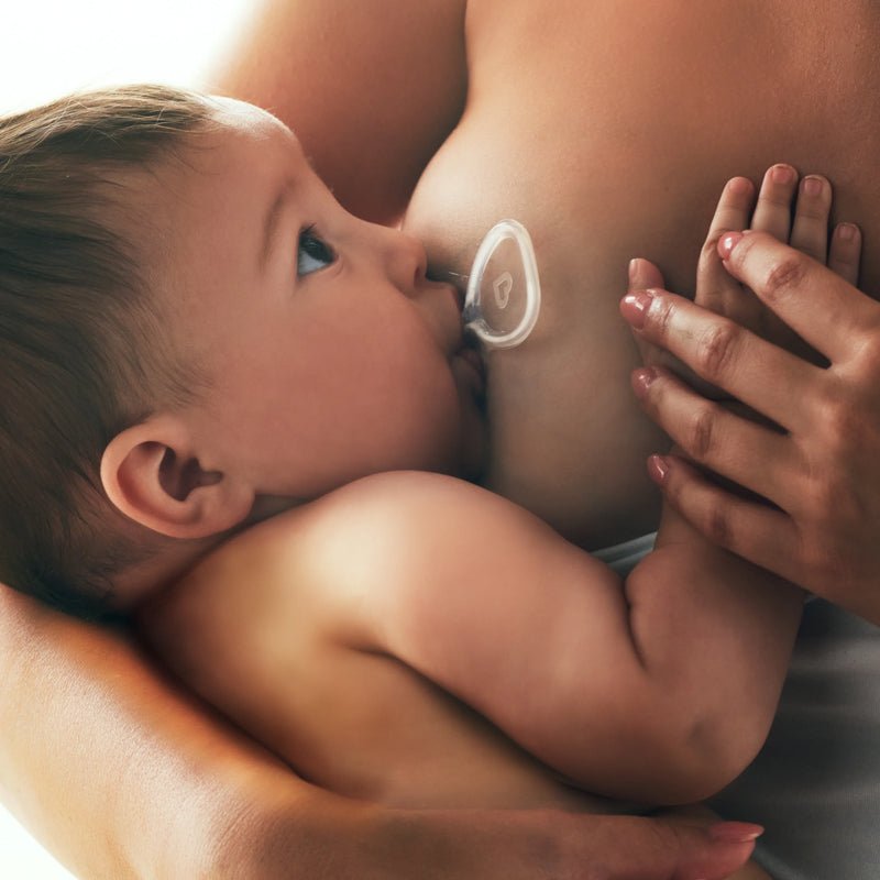 Munchkin Flow Nipple Shield 24mm + Kit - Baby&More
