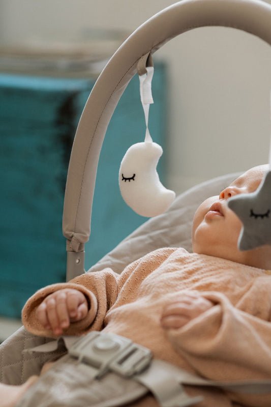 Nuby Baby Bouncer - Baby&More