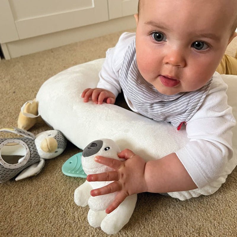 Nuby Penguin Tummy Time Pillow - Baby&More