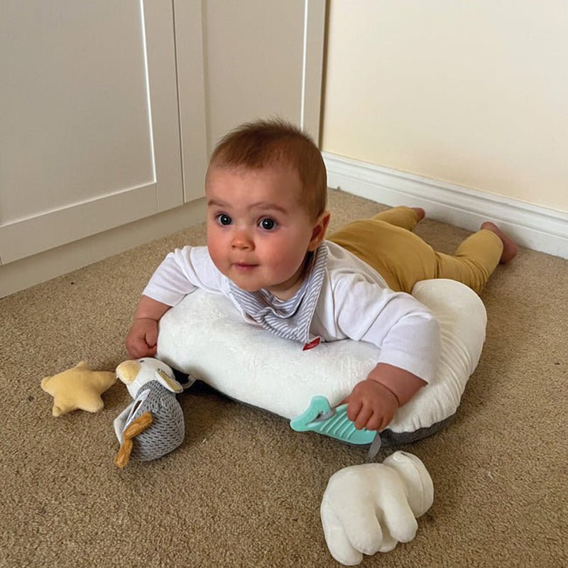 Nuby Penguin Tummy Time Pillow - Baby&More