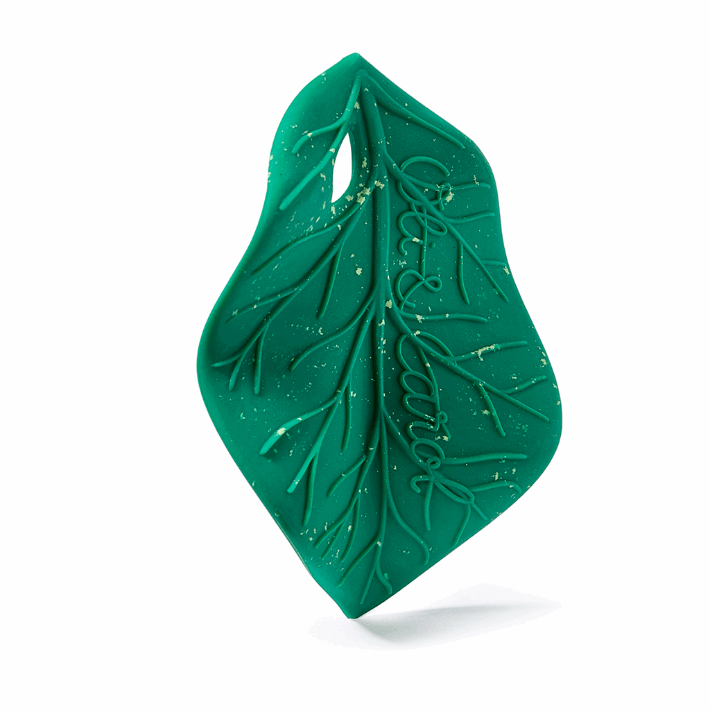 Oli & Carol Chlorophyll Leaf Teether - Baby&More