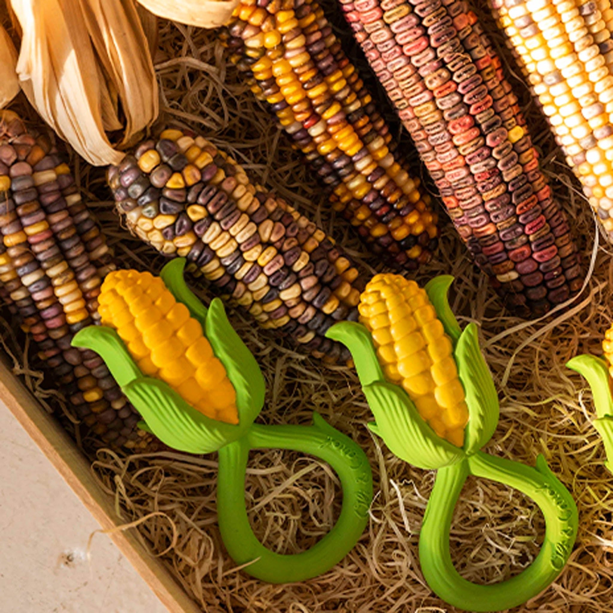 Oli & Carol Corn Rattle Toy - Baby&More