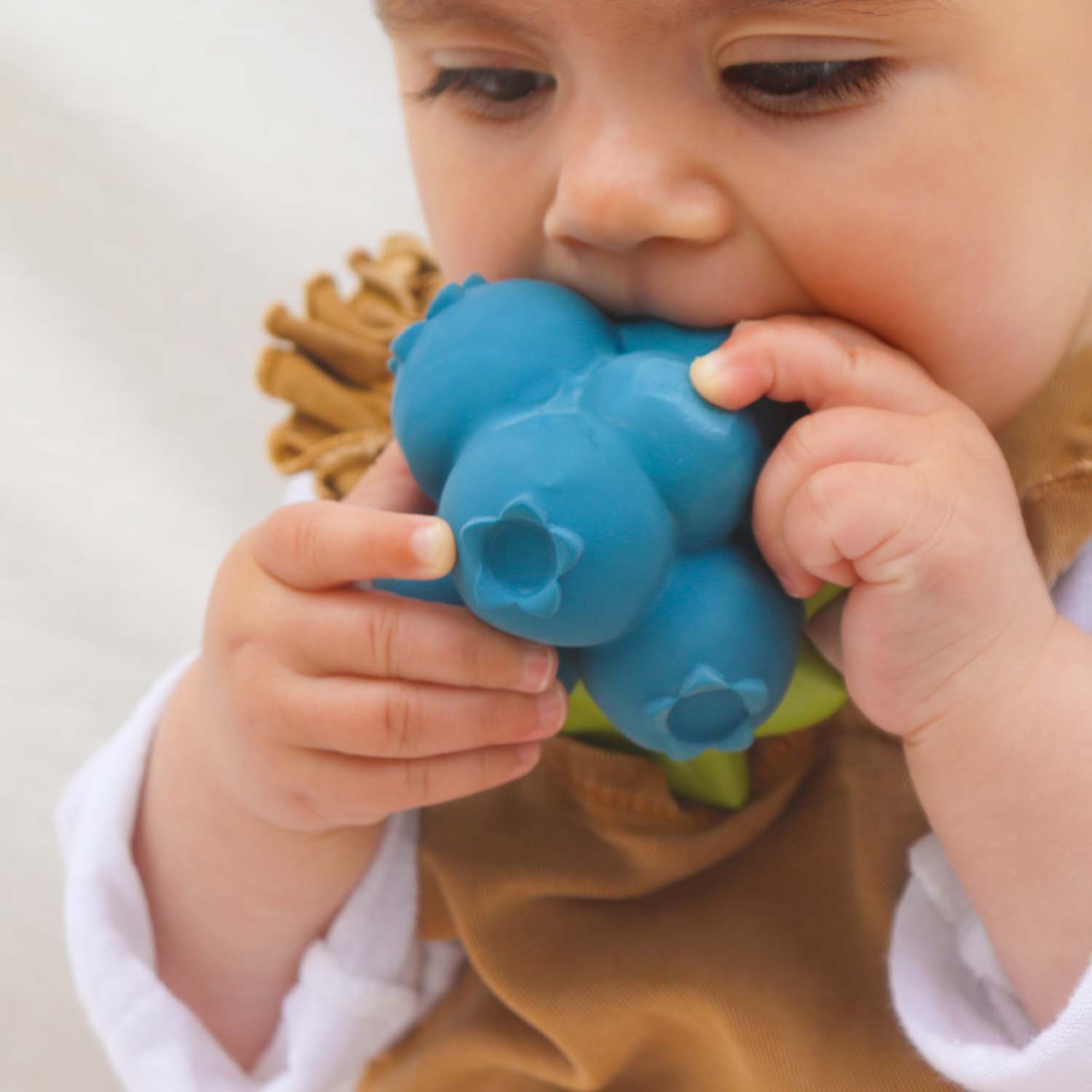 Oli & Carol Jerry the Blueberry Teether - Baby&More