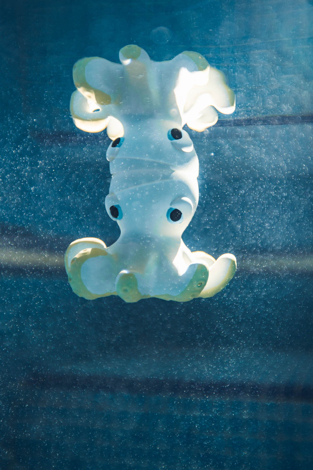 Oli & Carol Orlando the Octopus Bath Toy - Baby&More