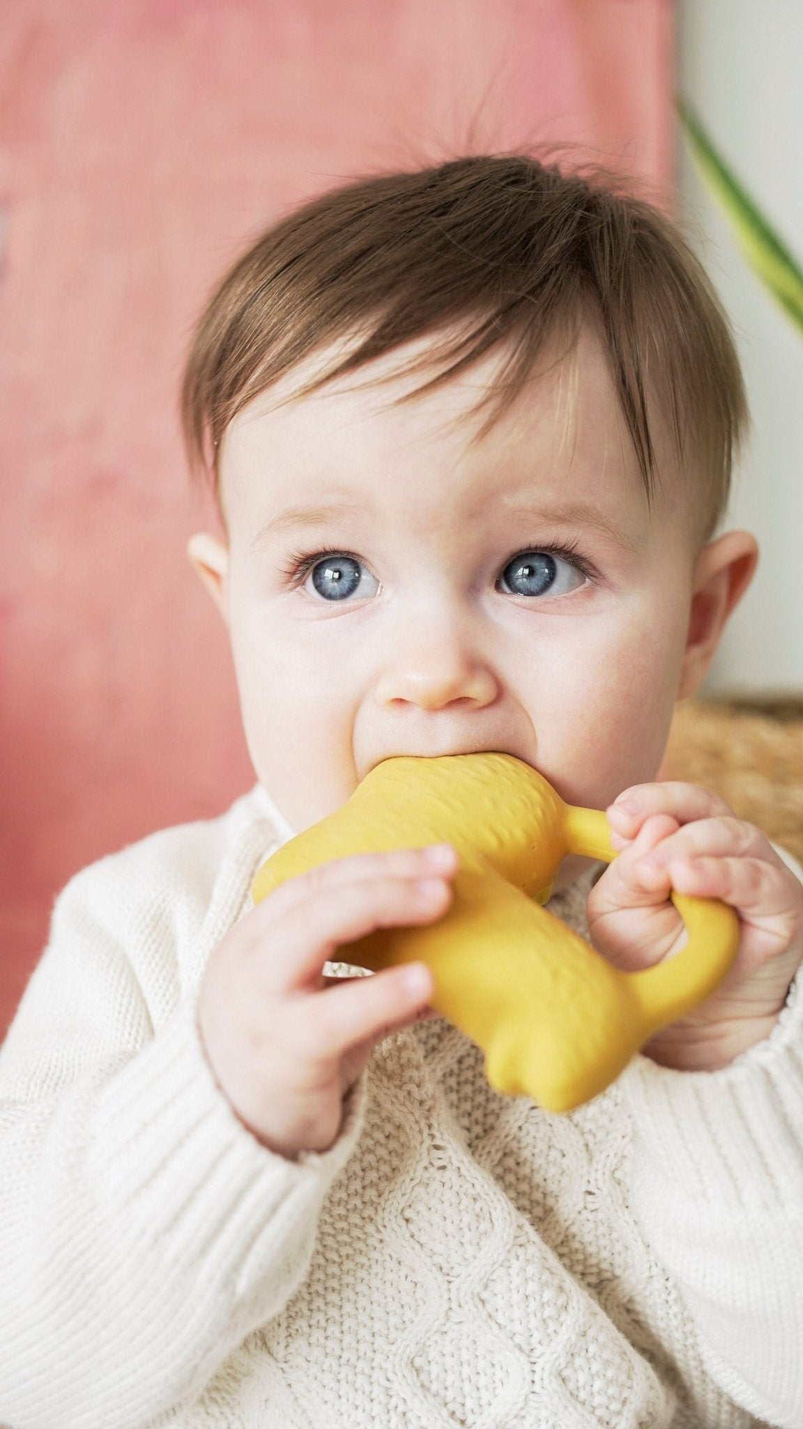 Oli & Carol Richie Lion Teether - Baby&More