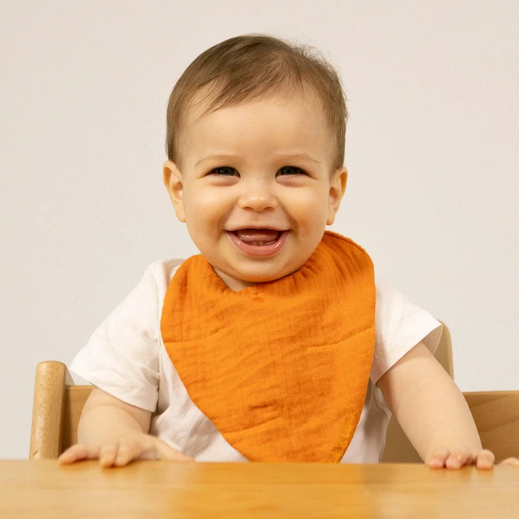 Oli&Carol Cathy the Carrot Feeding Bib - Baby&More