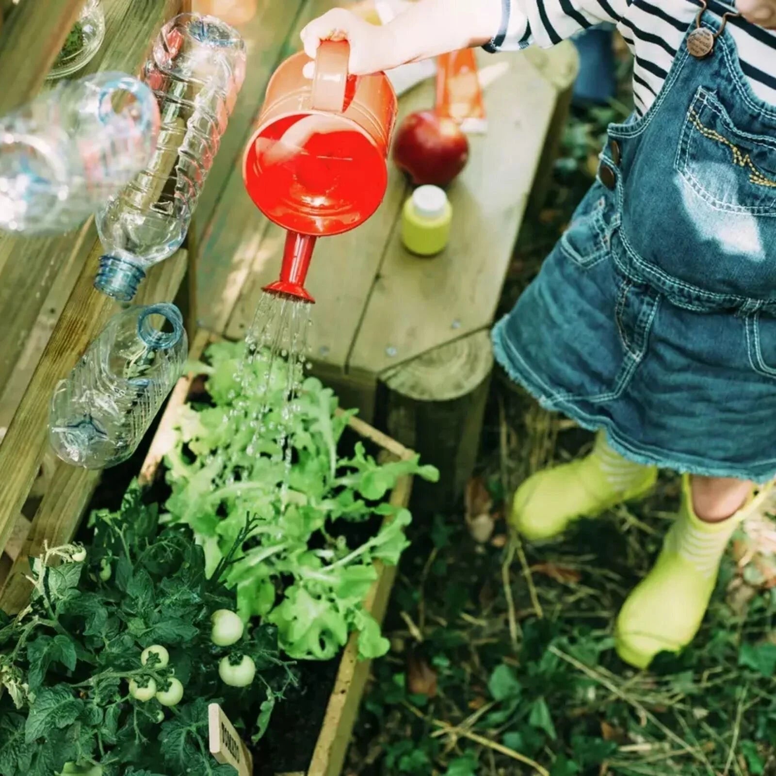 Plum Discovery Mud Pie Kitchen - Baby&More