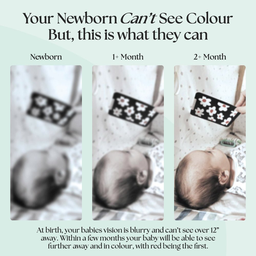 Priya & Peanut 0+ Month Newborn Sensory Cards - Baby&More