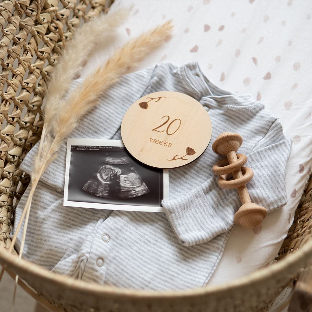 Priya & Peanut Wooden Pregnancy Milestone Disc Set - Baby&More